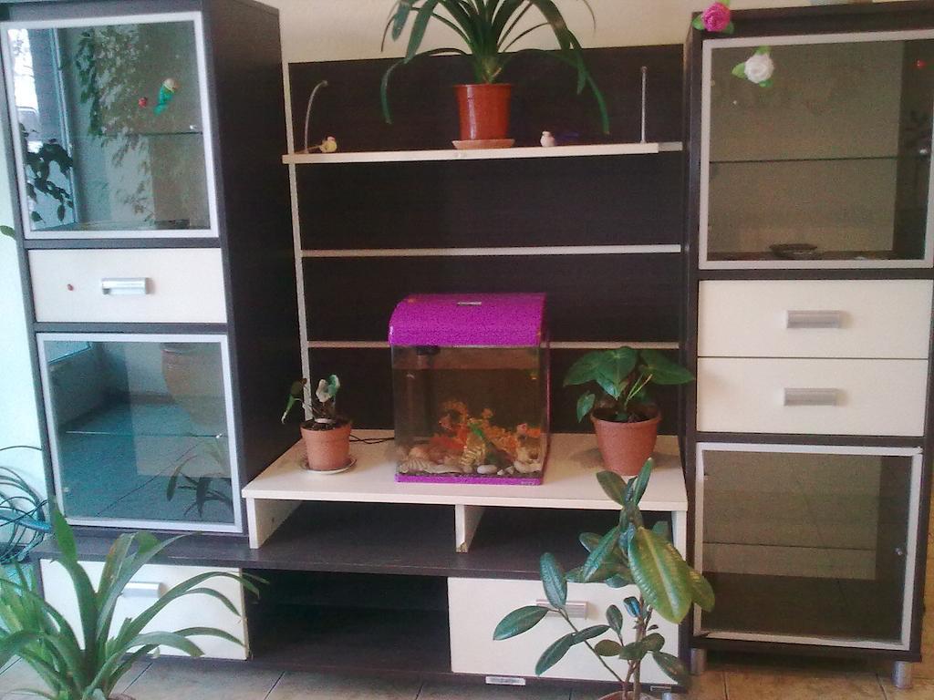 Hostel Raddus-Jss طشقند المظهر الخارجي الصورة